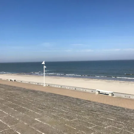 Dünenrose am Nordstrand-2